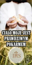 baner-dekoracja-do-oltarza-kosciola-na-boze-cialo-oczkowany-100x75-cm