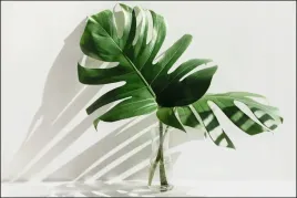 tlo-fotograficzne-produktowe-flat-lat-kulinarne
