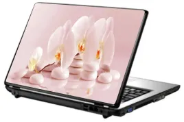 skin-naklejka-naklejki-na-laptopa-skorka-tapeta