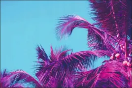 tlo-fotograficzne-produktowe-flat-lat-kulinarne