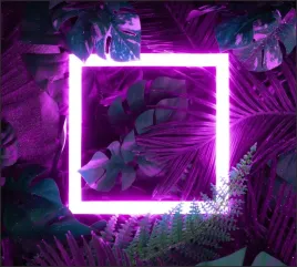 tlo-do-fotografii-produktowej-kulinarnej-flat-lay