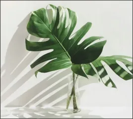 tlo-do-fotografii-produktowej-kulinarnej-flat-lay