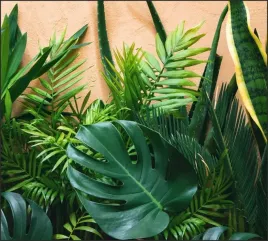 tlo-do-fotografii-produktowej-kulinarnej-flat-lay