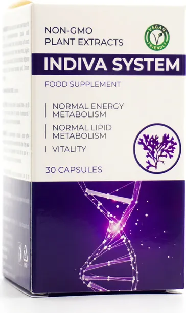 Suplement Diety Indiva System 30 Kapsułek