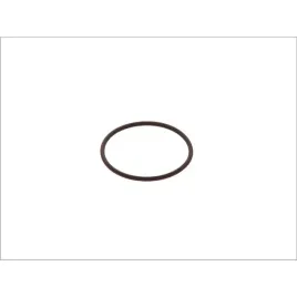 oring-40169300-bosch-diesel-f-00h-n35-933-elementy-zestawu-pld-oring