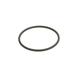 oring-bosch-diesel-f-00n-201-306-3165142830841-b3d7c7-0-006-oring