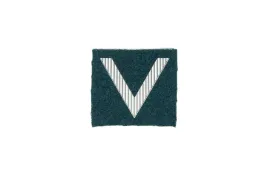 naszywka-stopien-sierzant-na-beret-zielony-drukowana-nowa