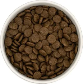 -dogsanddrops-losos-z-pstragiem-i-szparagami-bezzbozowa