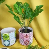 oslonka-faro-fuksja-wysokosc-produktu-12-5-cm
