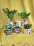 oslonka-faro-zolty-stan-nowy-marka-ideas-4-seasons