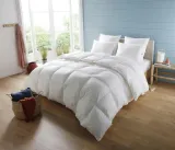 koldra-260x240-dodo-kod-producenta-koldra
