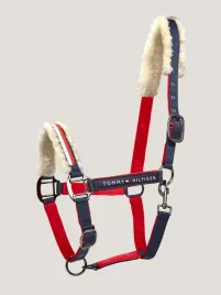 tommy-hilfiger-kantar-global-multi-cob