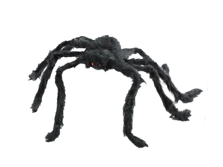 duzy-pajak-70-cm