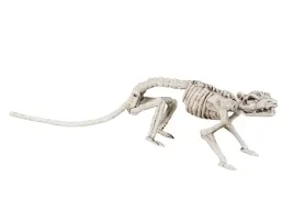 dekoracja-szkielet-szczura-35-cm-1-szt
