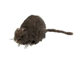 szczur-na-halloween-15-cm-1-szt