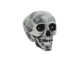 czaszka-na-halloween-20-cm-1-szt