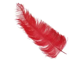 strusie-pioro-czerwone-50-cm-1-szt