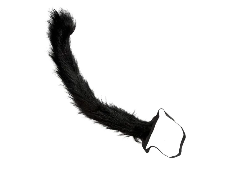ogon-kotek-czarny