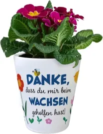 speecheese-doniczka-ceramiczna-srednica-9-cm