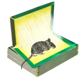 piege-a-souris-pulapki-na-myszy-i-szczury-4-szt
