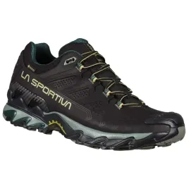 ultra-raptor-ii-leather-gtx