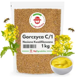 gorczyca-biala-na-poplon-nasiona-c-1-miododajna-1kg