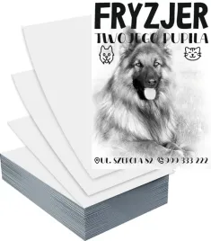 ulotki-a6-5000-szt-reklamowe-firmowe-psi-fryzjer-duzo-wzorow-projekt-gratis
