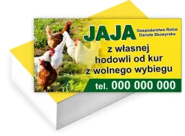 wizytowki-firmowe-reklamowe-100szt-duzy-wybor-sprzedaz-jaj-wiejskich