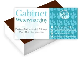 wizytowki-firmowe-reklamowe-200-szt-rozne-wzory-gabinet-weterynaryjny