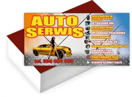 wizytowki-firmowe-reklamowe-200szt-duzo-wzorow-auto-serwis
