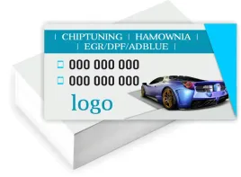 wizytowki-firmowe-projekt-gratis-100-sztuk-hyptuning-hamownia-egr-dpf