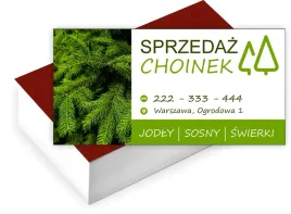 wizytowki-firmowe-reklamowe-100-szt-rozne-wzory-duzy-wybor-sprzedaz-choinek
