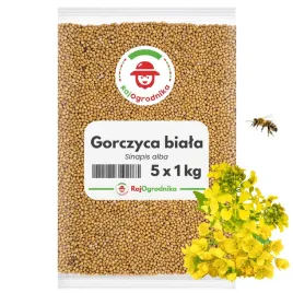 gorczyca-na-poplon-nasiona-5-kg