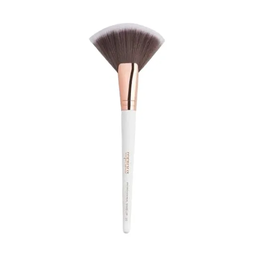 fan-brush-f22