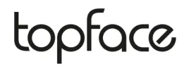 topface-focus-point-matte-lippaint-011