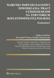 warunki-dopuszczalnosci-powierzania-pracy
