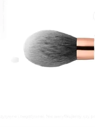 topface-powder-brush-f01