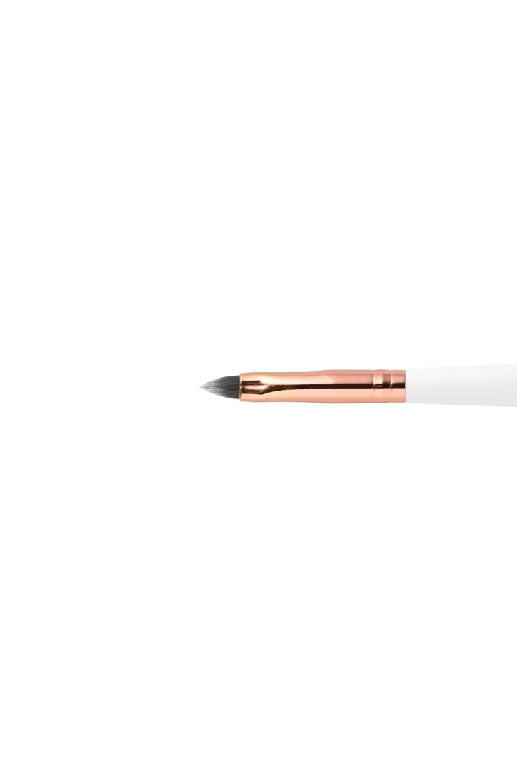 topface-lip-brush-f17