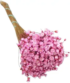 glixia-gliksja-suszona-rozowa-kwiaty-suszone-naturalny-susz-50-g-kwiatuszki