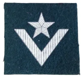 naszywka-stopien-mlodszy-chorazy-na-beret-zielony-drukowana-nowa