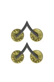 przypinka-czarna-metalowy-stopien-szeregowy-pin-us-army-2-szt-nowa