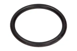 oring-elektrozaworu-vanos-bmw-1-e81-3-e46-12-97-09-12-e-81-46-11-36-7-506