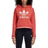 ai-hoody