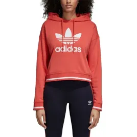 ai-hoody