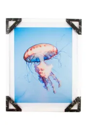 obraz-w-ramie-ars-longa-meduza-na-tle-oceanu-53-x-43-cm