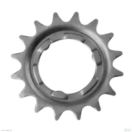 zebatka-do-torpeda-16-zebow