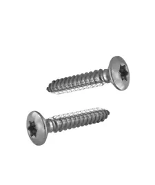 blachowkret-z-lbem-stozkowym-soczewkowym-4-2x19-na-torx-a2-iso14587c-200x
