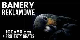 baner-reklamowy-oczkowany-100x50-cm-plandeka-projekt-gratis