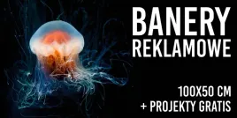 druk-baner-reklamowy-plandeka-100x50-cm-projekty-gratis-oczkowane