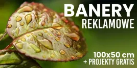 banery-reklamowe-plandeka-oczkowane-100x50-cm-projekt-gratis-personalizacja
